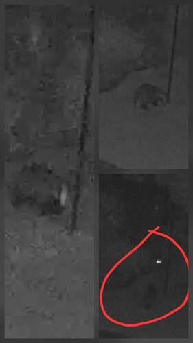 20250516_082624