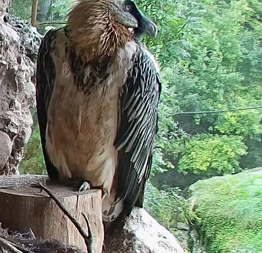 Screenshot_2025-09-22-13-04-48-891_com.android.chrome