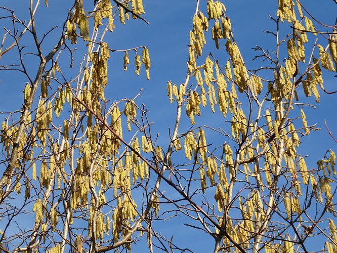 P1050362