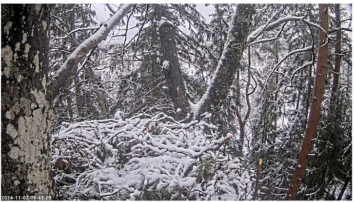 Screenshot 2024-11-02 164740