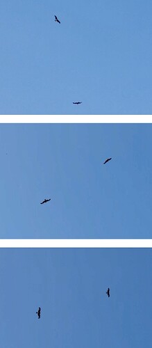 IMG_2658