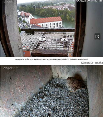 Snap_2024.04.17_10h40m01s_002_