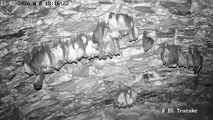 2026-02-11_2 18.00 großer Cluster im Keller 1    12+