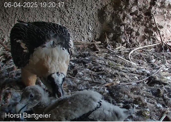 Mobilisieren 06.04.25