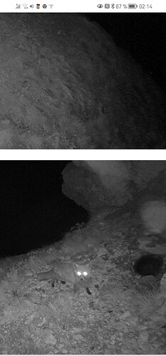 Screenshot_20230603_021431_com.android.chrome