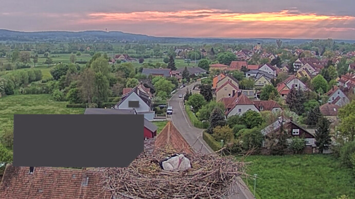 19.55