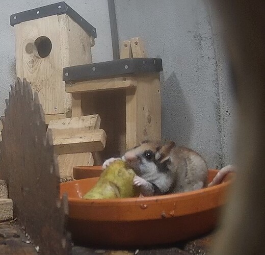 Screenshot_20230926_193739_Samsung Internet