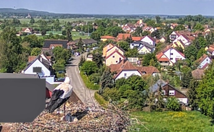 Screenshot_2024-05-09-10-31-45-608_com.android.chrome