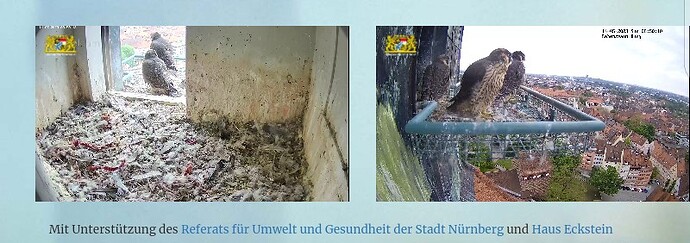 Screenshot_2023-05-14-08-50-34-087~2