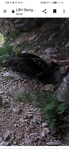 Screenshot_20230608_111844_com.android.chrome