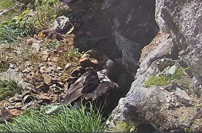 L. in der Wanne  13.06.25