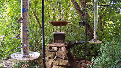 Snap_2024.07.16_15h34m59s_002_