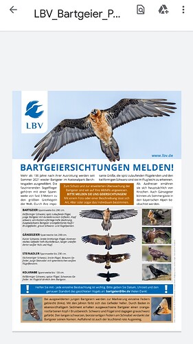 Screenshot_20221119-190030_Drive