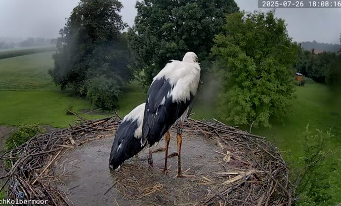 Screenshot_2025-07-26-18-08-44-517_com.facebook.lite