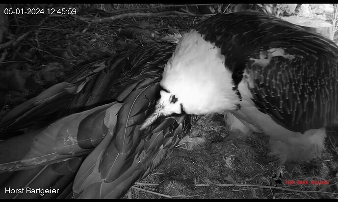 Screenshot_20240105-124719~2