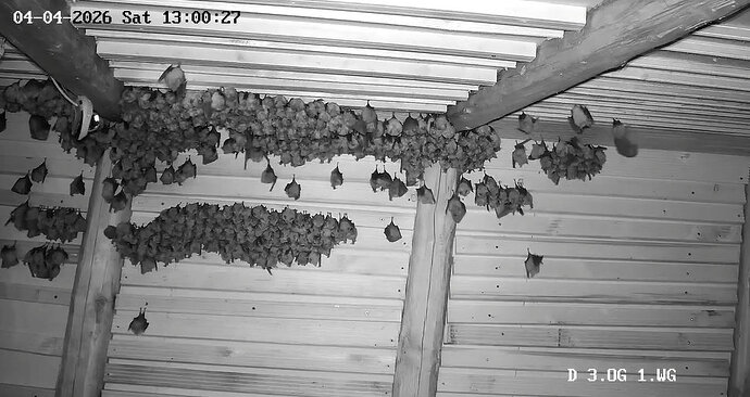 2026-04-04_3 abstrakte Kunst 3