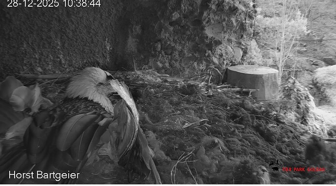 Screenshot_20251228-103947~2