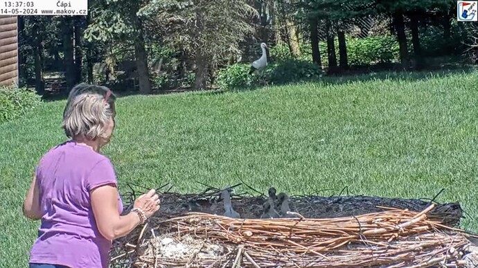 Screenshot_2024-05-14-13-37-44-559_com.google.android.youtube