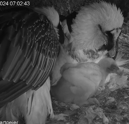 Screenshot_20240326-070316~2