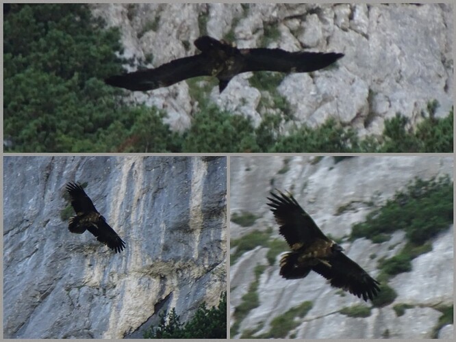 Collage_2023-09-08_20_18_22