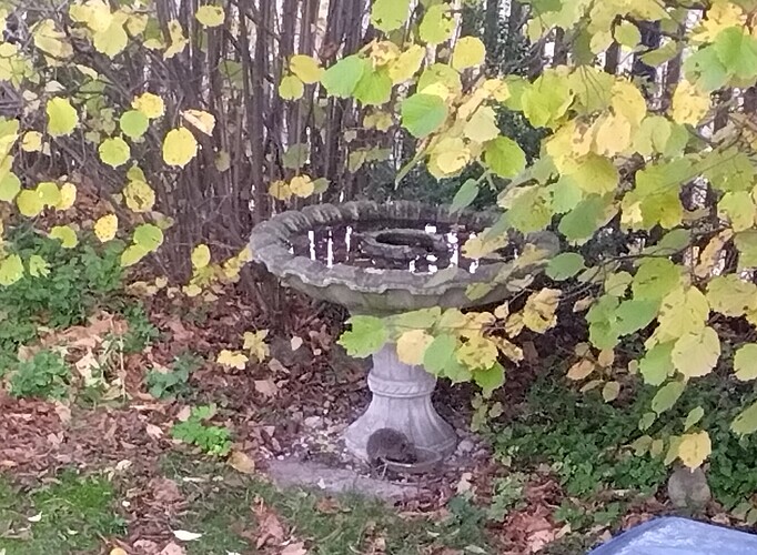 IMG_20251031_155405_543