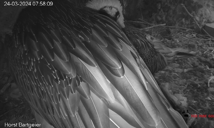 Screenshot_20240324_075822_Chrome