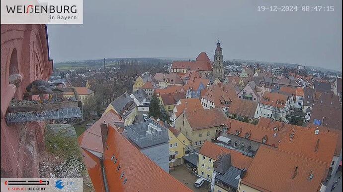 Screenshot (7646)