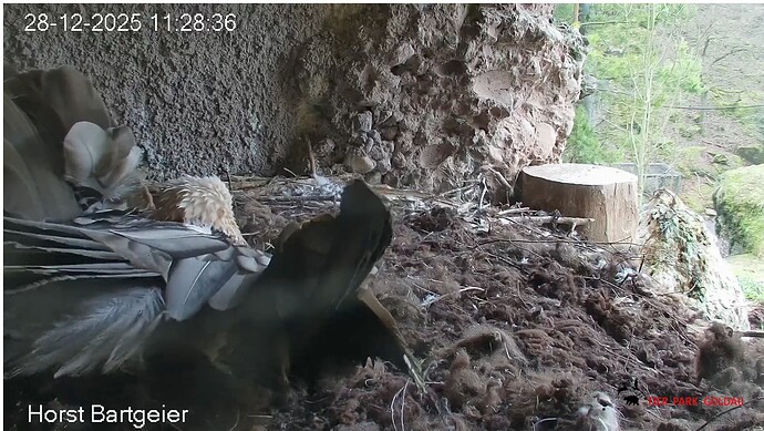 Screenshot_20251228-112939~2