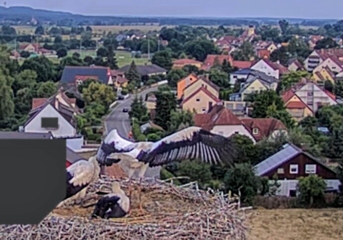 Screenshot_2025-06-23-05-20-08-268_com.android.chrome