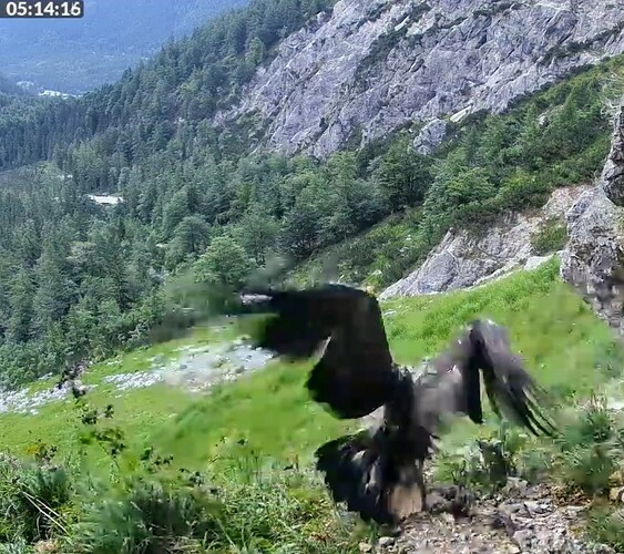 Screenshot_2025-06-24-05-14-32-747_com.android.chrome