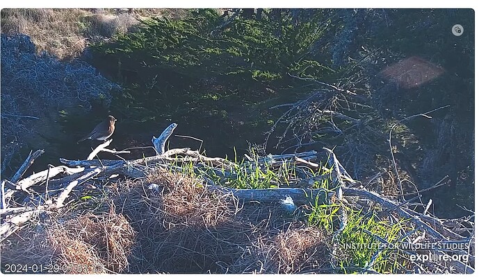 Screenshot 2024-01-29 165656