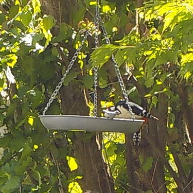 Snap_2025.05.11_10h52m28s_010_