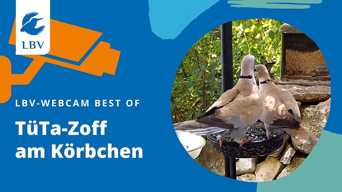 TüTa-Zoff am Körbchen
