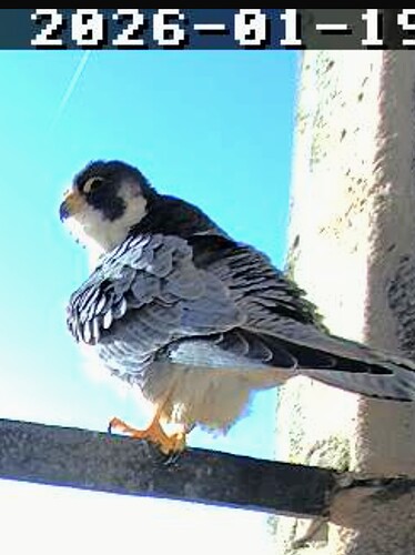 Screenshot_2026-01-19-10-05-42-322_com.android.chrome~2