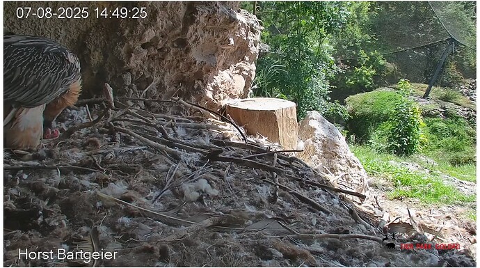 Screenshot_20250807-145035~2