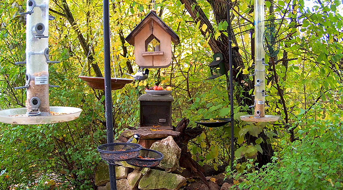 Screenshot_20251023-171332~2