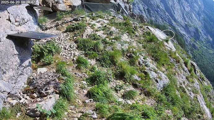 Bildschirmfoto vom 2025-06-20 08-29-10