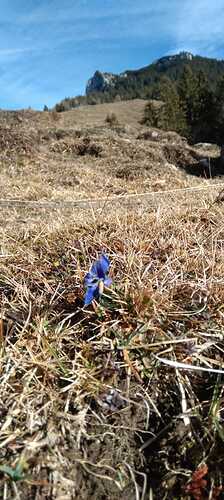 IMG-20230106-WA0028