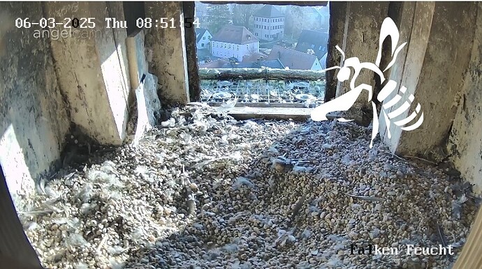 Screenshot_20250306_075420_Chrome