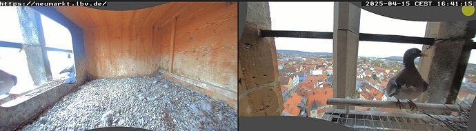 Screenshot (3304)