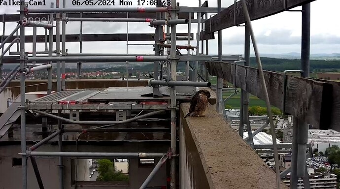 Screenshot_20240506_170855_Chrome