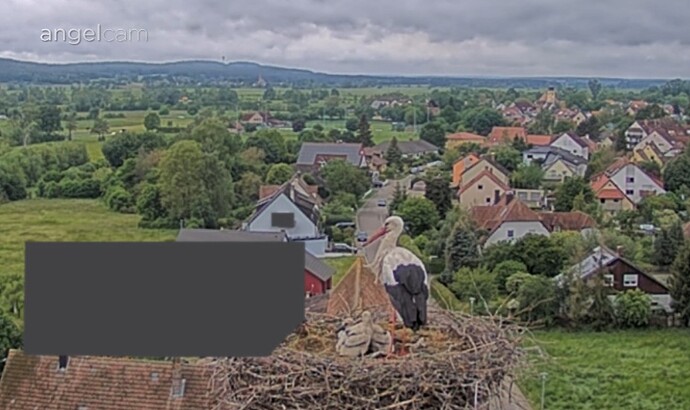 Screenshot_20240518_115035_Chrome