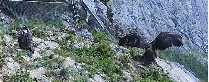 G. übt und L. schaut 16.06.25