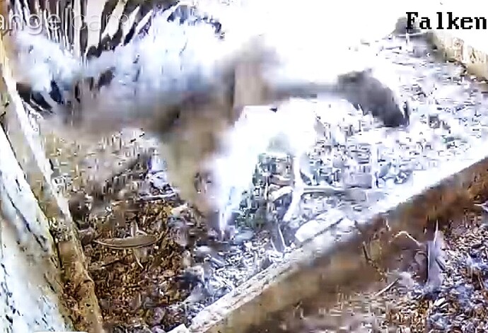 Screenshot_20230517-162542-01