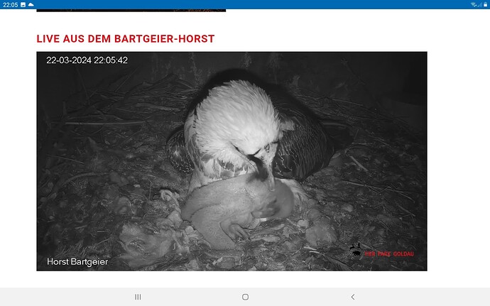 Screenshot_20240322-220556_Chrome