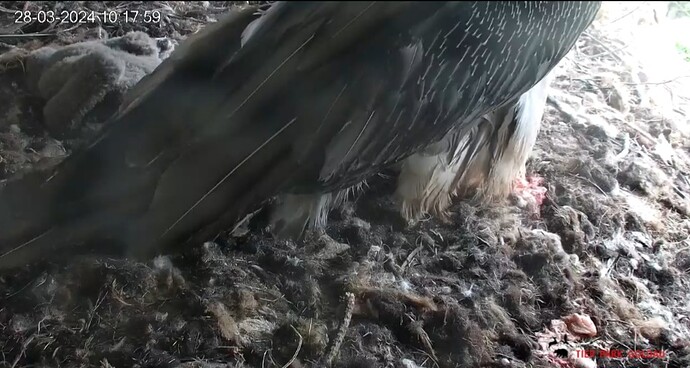 Screenshot_20240328_101815_Chrome