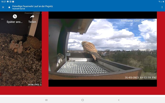 Screenshot_20230331-182727_Chrome