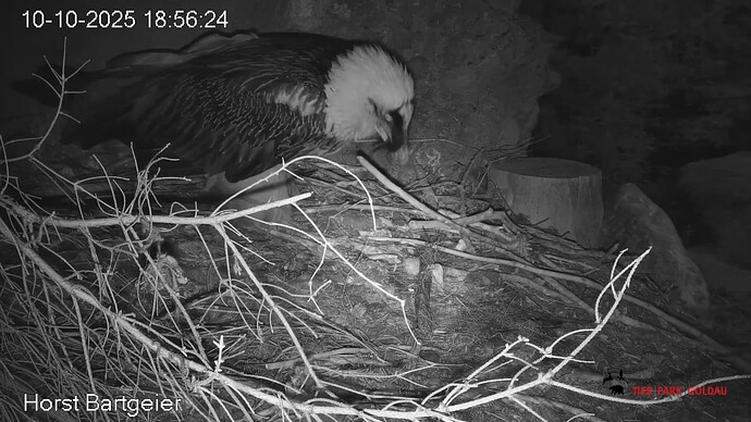 Screenshot_20251010-185730~2