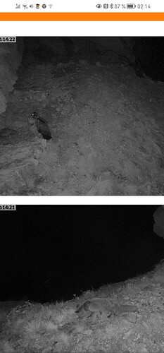 Screenshot_20230603_021444_com.android.chrome