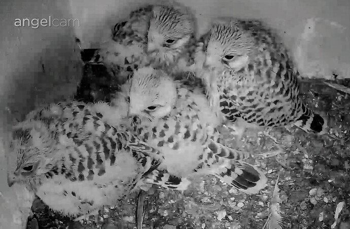 Screenshot_2025-06-22-05-05-45-060_com.android.chrome